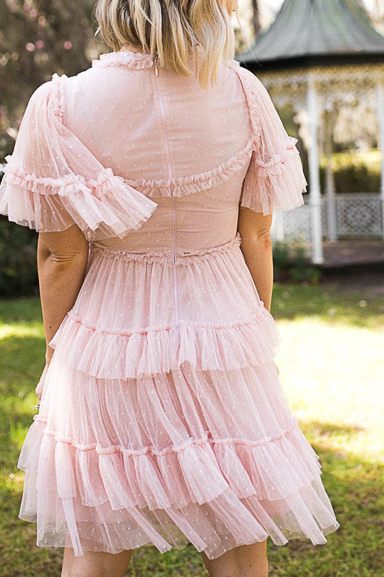 Short Whimsical Dress in Blush