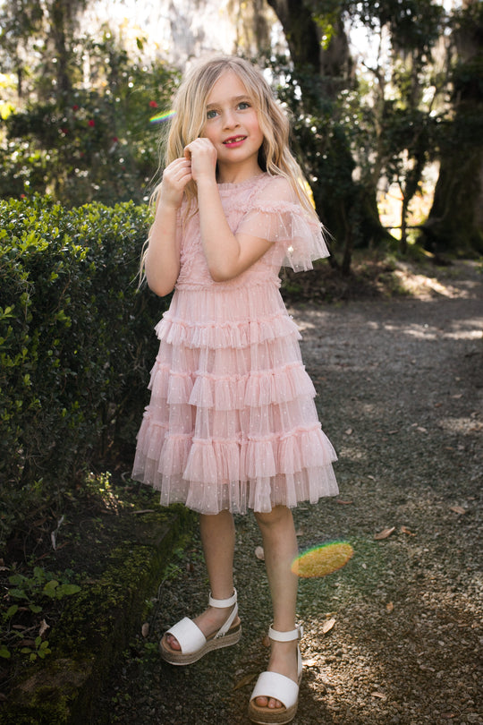 Mini Whimsical Dress in Blush