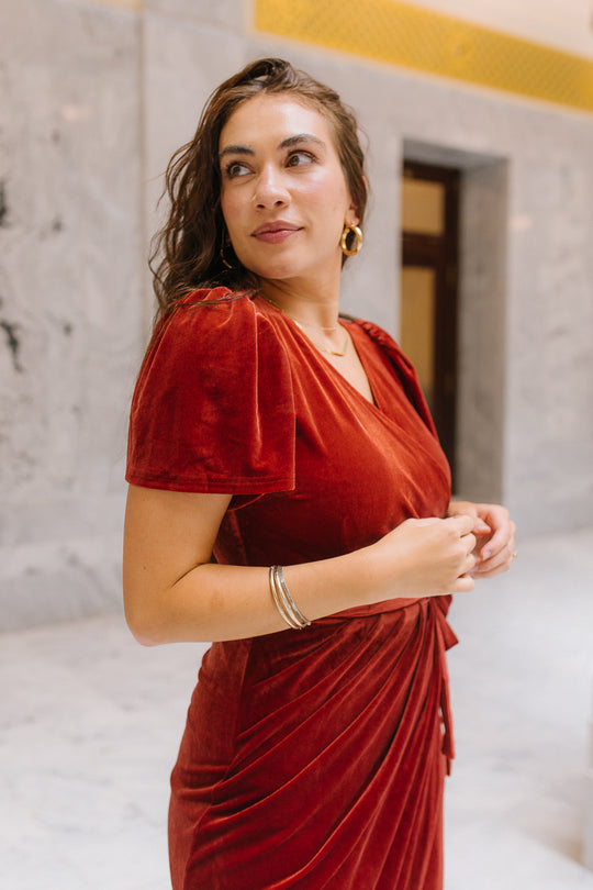 Lillie Dress in Brick Velvet