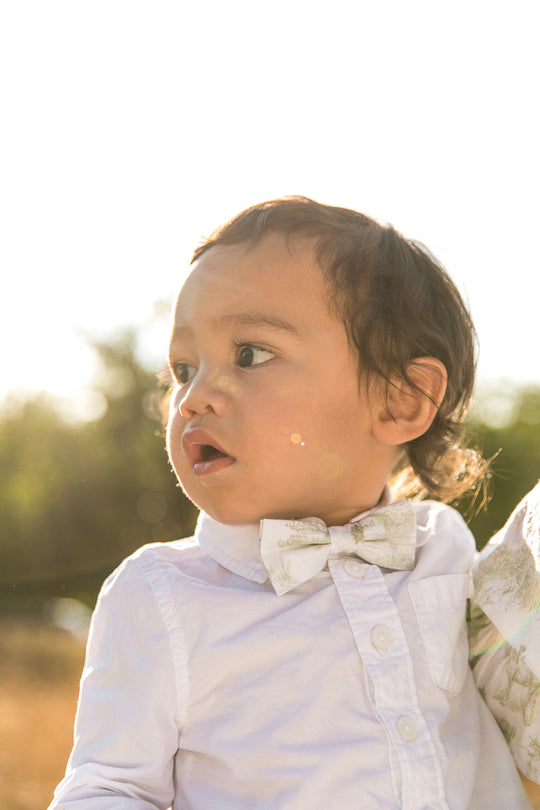 Valencia Bow Tie in Sage