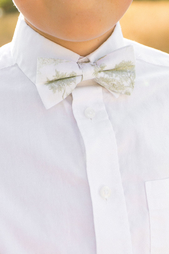 Valencia Bow Tie in Sage